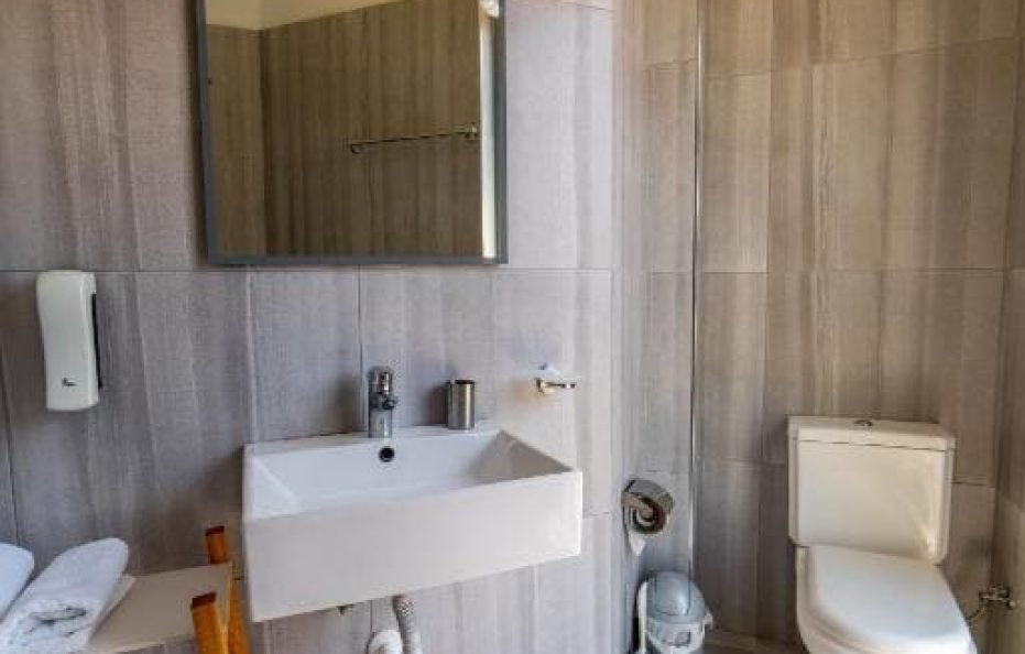 Double Room with French Balcony