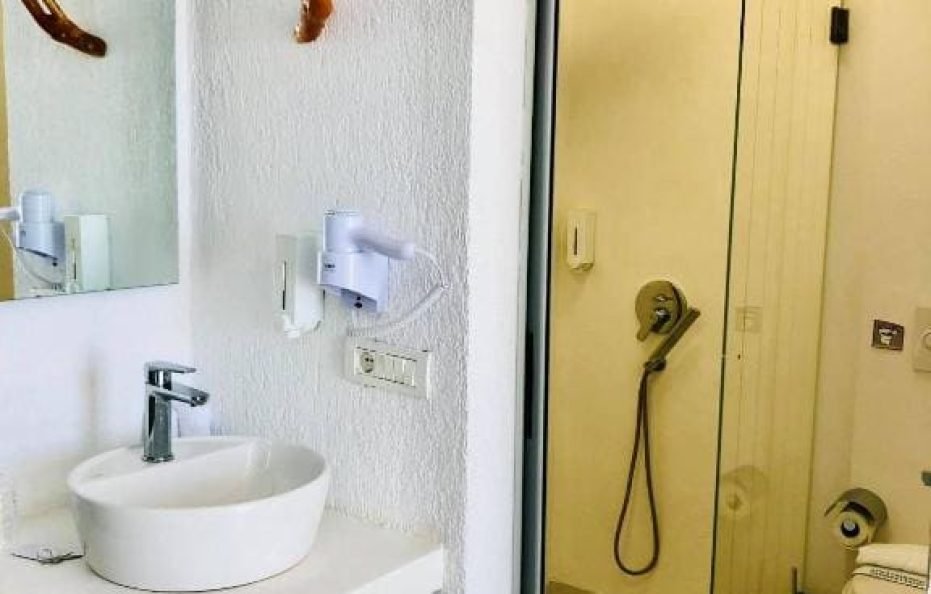 Deluxe Double room with balcony SV